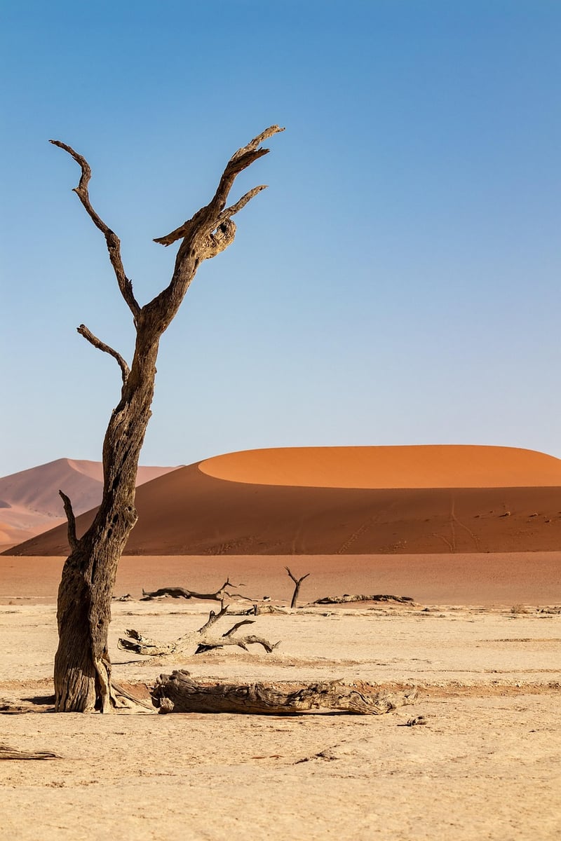 Desert Dunes