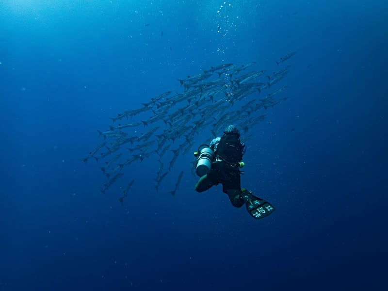 Mask for snorkeling